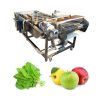 Washer Type Industrial Electrical Vegetable & Fruits Process Machine With Bubble Washing