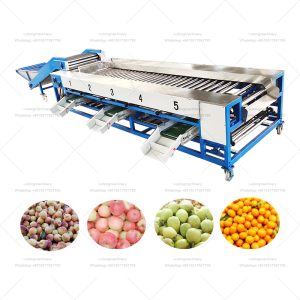 Stainless Steel Tomato/Garlic/Onion Sorting Machine/Potato Grading Size Grader Machine