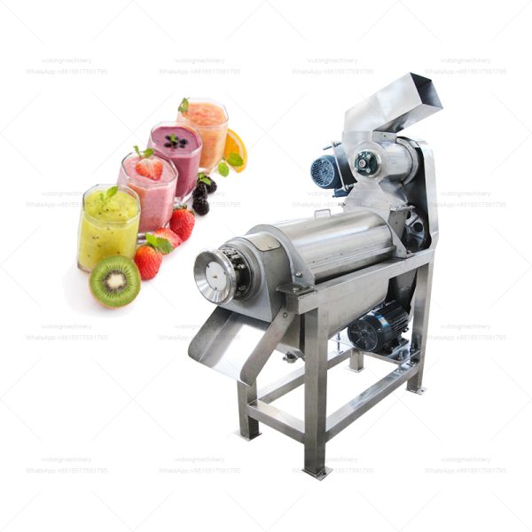 Automatic Watermelon Ginger Crusher Ganna Litchi Juice Beet Cold Juice Juicer Press Making Machine