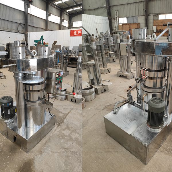 Factory Supply Cold Press Oil Machine Hydraulic Almond Sunflower Walnuts Peanut Sesame Oil Press Machine