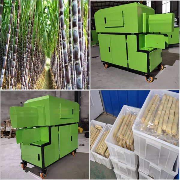 Automatic Commercial Sugarcane Peeling Cutting Machine Auto Industrial Sugar Cane Removable Skin Peeler Equipments Cheap Price