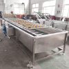 Washer Type Industrial Electrical Vegetable & Fruits Process Machine With Bubble Washing