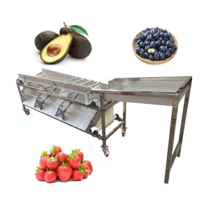 Fruit Vegetable Sorter Potato Tomato Grading Production Line Dates Grade Sorting Machine / Saudi Arabia Dates Grading Machine