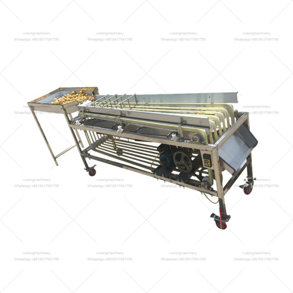 Fruit Vegetable Sorter Potato Tomato Grading Production Line Dates Grade Sorting Machine / Saudi Arabia Dates Grading Machine