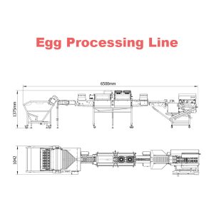 Egg Processing Line